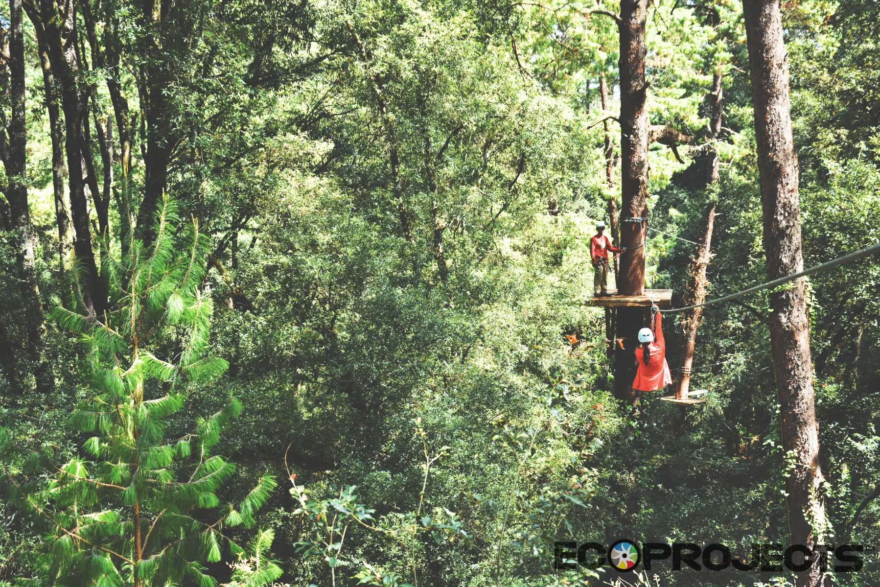 Ecoproparks | Canopy Tours Ecoproparks. Canopy Tour 13.